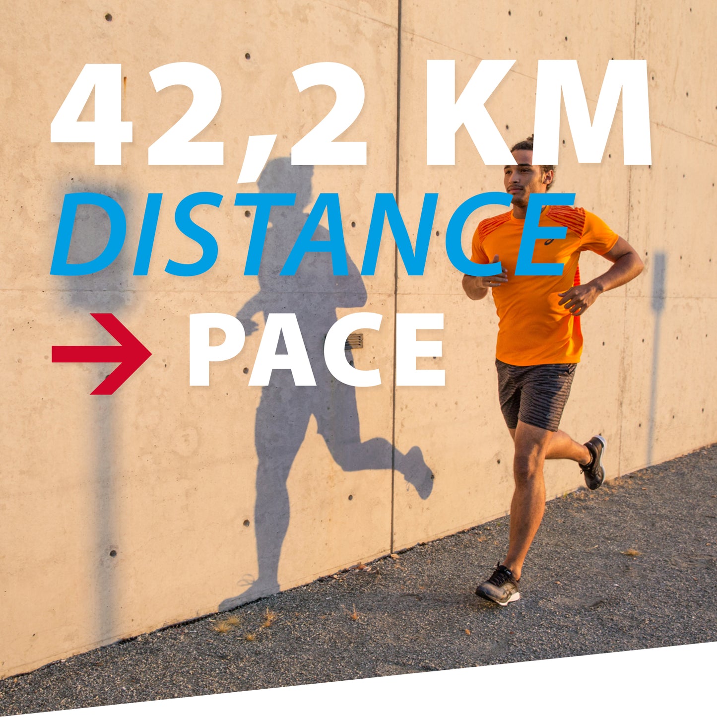 TRAININGSPLAN: 42,2 km | Distance | Pace