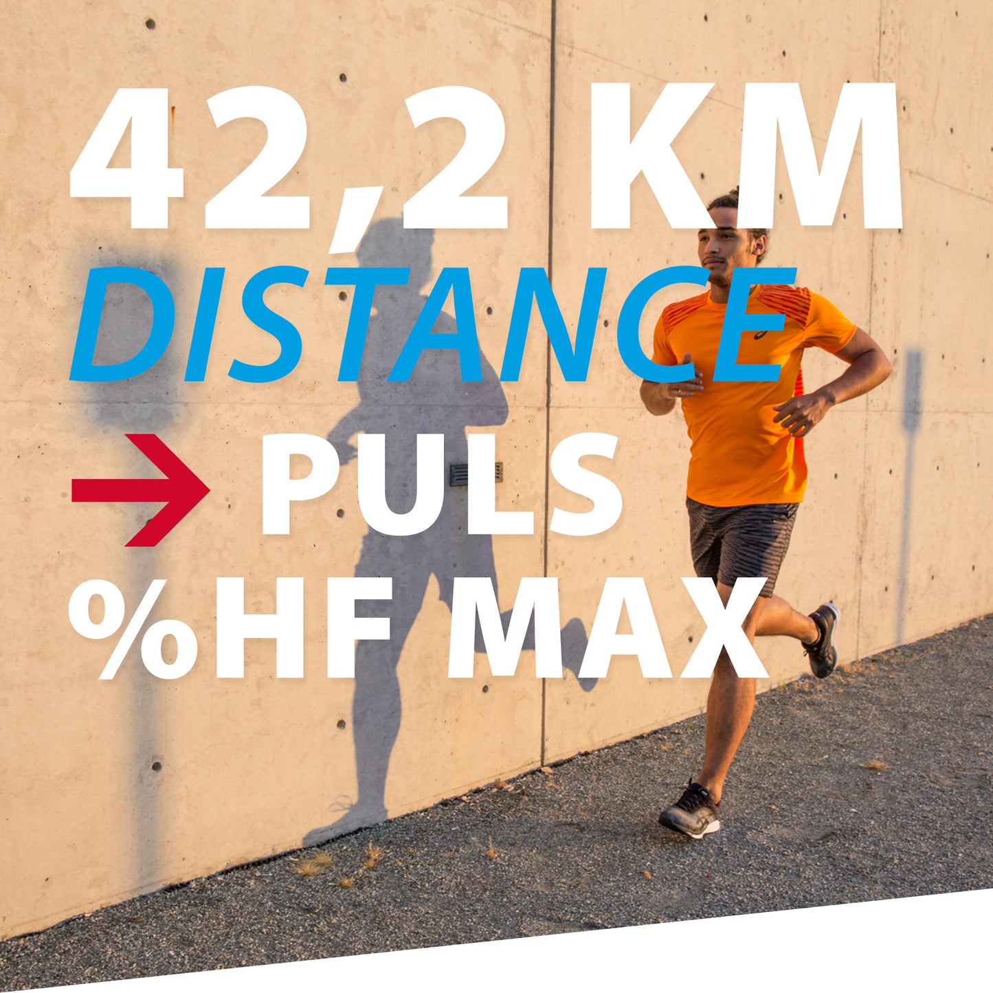 TRAININGSPLAN: 42,2 km | Distance | Puls (%HFmax)