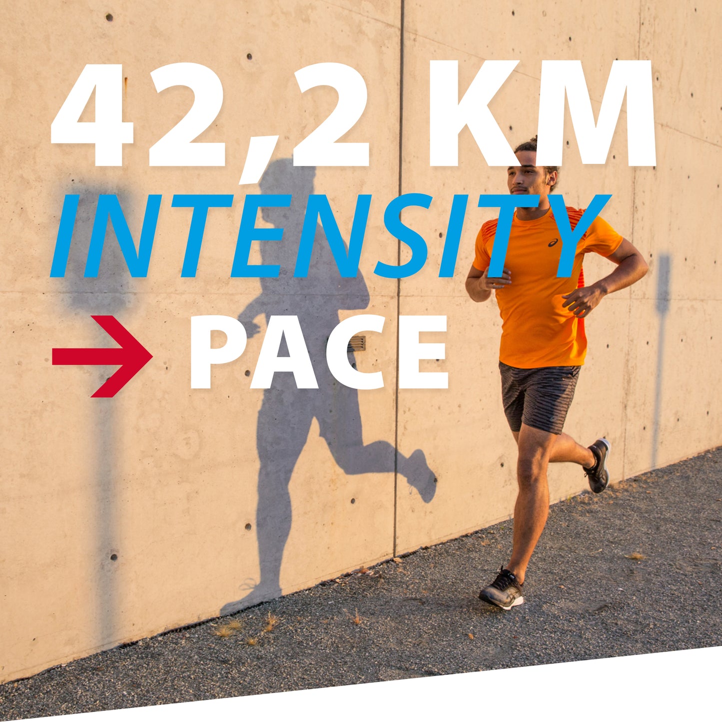 TRAININGSPLAN: 42,2 km | Intensity | Pace