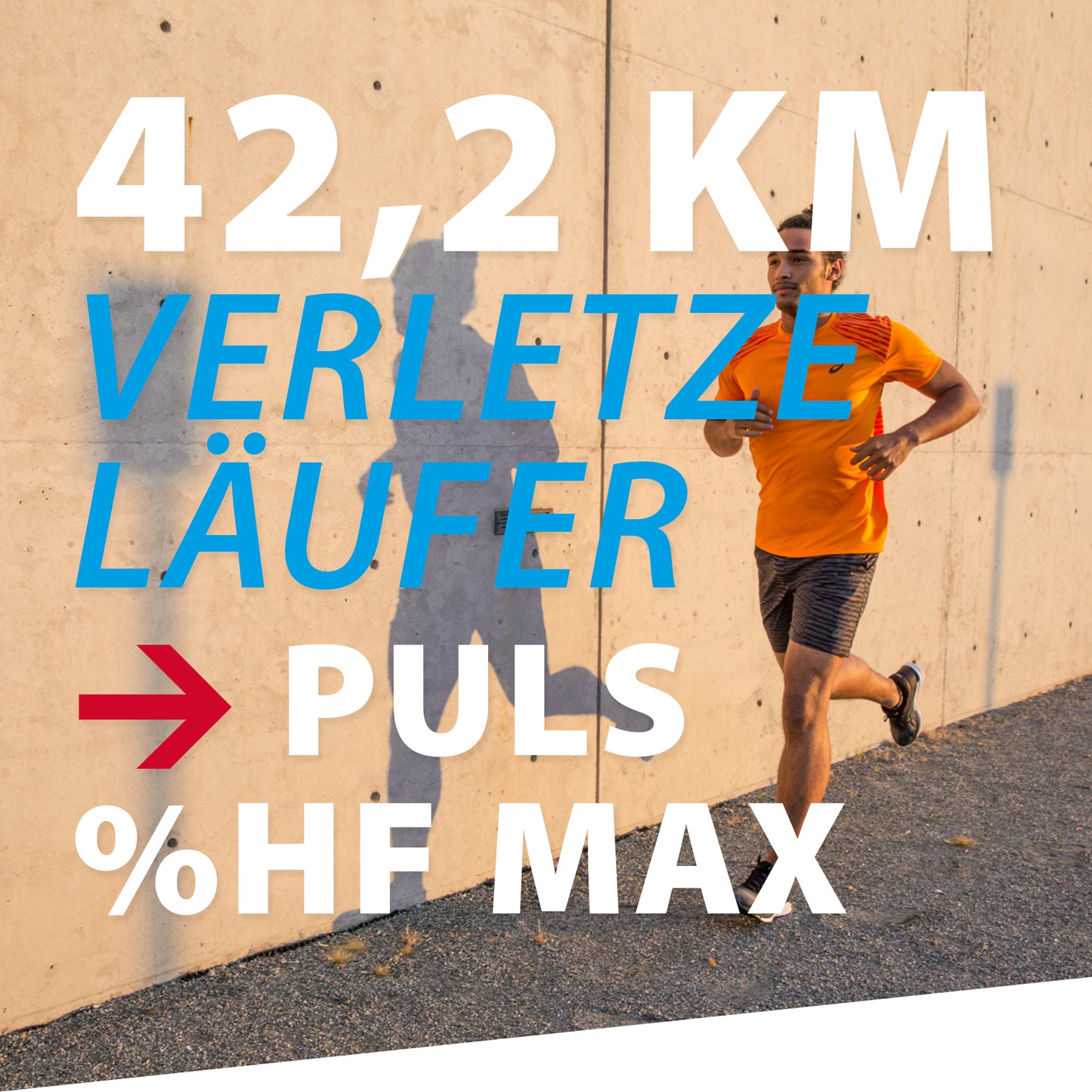 TRAININGSPLAN: 42,2 km | Verletzungsanfällige Läufer | Puls (%HFmax)